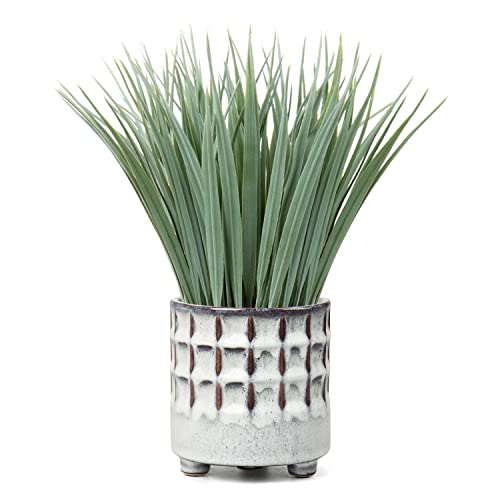 Hollyone Fake Grass Plant in Ceramic Pot Artificial Potted Plants Small