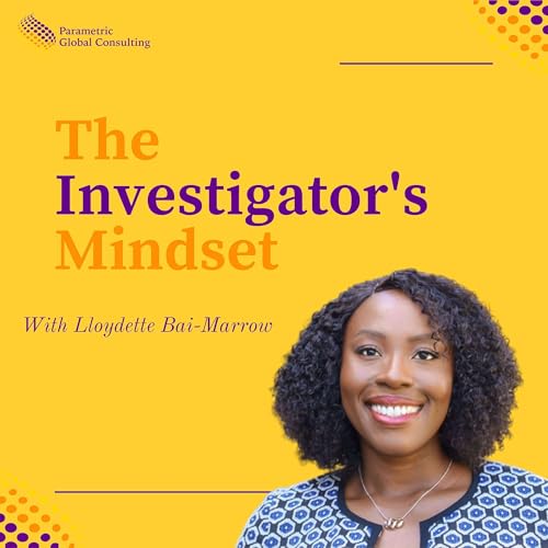 The Investigator's Mindset cover art