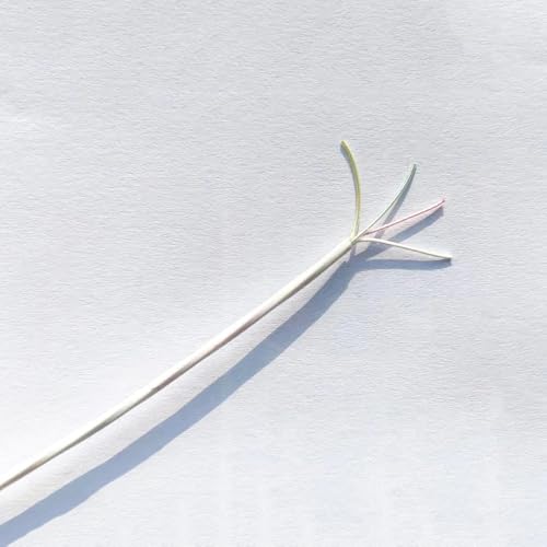 ANFKUN Ultra-fine 2-core 4-core PTFE Silver-Plated sheathed Telflon high-Temperature Signal Cable with an Outer Diameter of 1.2/1.6mm(50 m,2core OD 1.2mm)