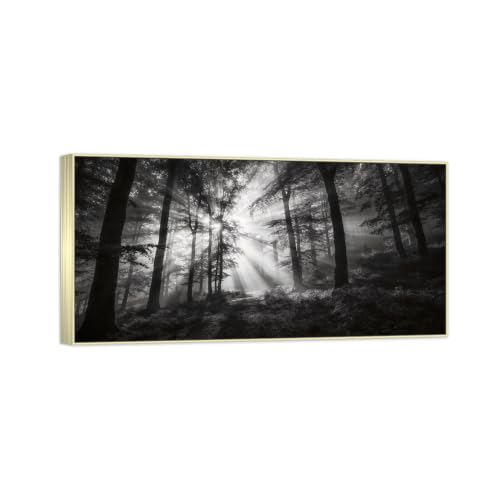 Paysage noir et blanc grand format : tableau arbre soleil pour déco salon moderne