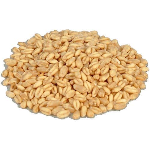 See full amazon price history chart for HIMMART Organic Sharbati Wheat Atta | Makes Delicious Soft Rotis, Lachha Paratha & Aate ka Halwa HIMMART Organic Sharbati Wheat Atta | Makes Delicious Soft Rotis, Lachha Paratha & Aate ka Halwa (B0CPBLZBMH) Amazon Price History, Amazon Price Tracker