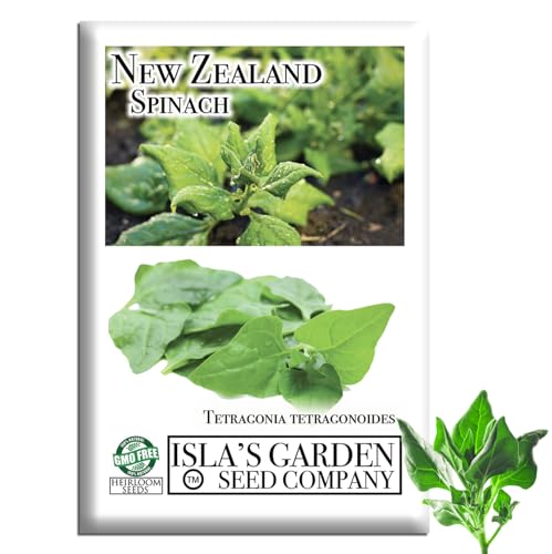 New Zealand Spinach Seeds for Planting, 100+ Heirloom Seeds Per Packet, (Isla's Garden Seeds), Non GMO Seeds, Botanical Name: Tetragonia tetragonioides, Great Home Garden Gift