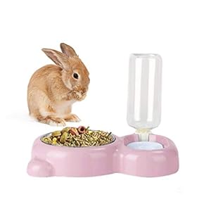 Rabbit Double Bowls Bunny Automatic Water Dispenser Detachable Stainless Steel Bowl No-Spill Water Bottle Food Feeder for Small Animals Bunny Squirrel Cat Puppy Chinchilla