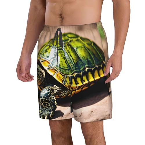 Lord Howe Island Sea Turtle Print Stylish Men Beach Shorts Lightweight Cozy Swim Trunks Summer Casual Outings Holiday2
