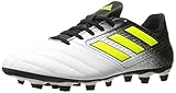 adidas Performance Men's ACE 17.4 FxG Soccer Shoe