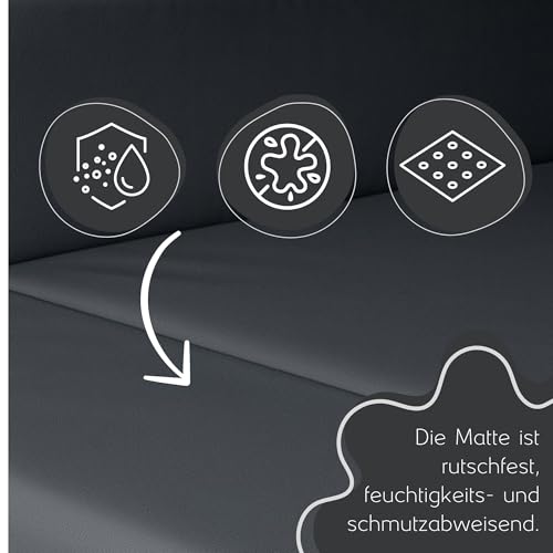 Golden Dog Kofferraum Matte Hundebett Schutzmatte Hunde Autositz Autoschondecke Kunst Leder