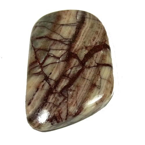 Jaspe zébré pierre fabrication bijoux cabochon fantaisie pour pendentif de créateur