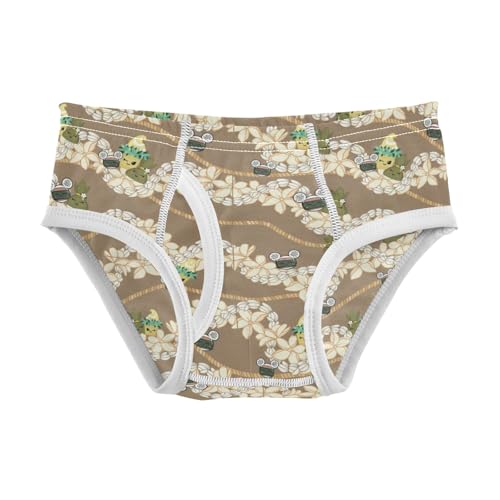 Boys' Exclusive Briefs Toddler Underwear 95% Combed Cotton Boxerbriefs 2T Fairy and Flower Path Pattern 70