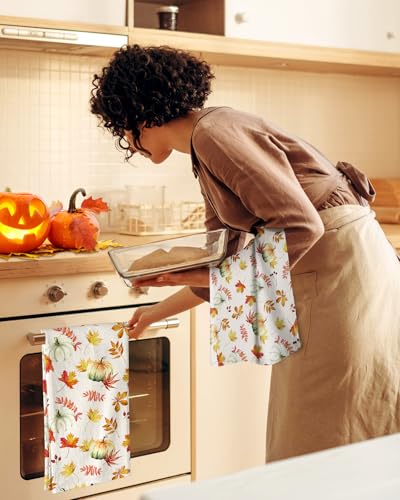 Image of Miss Adola 150GSM Flour Sack Kitchen Towels Set of 2, Pumpkin Leaf | 18 inchx26 inch, Lightweight, Lint-Free, Pure Cotton, Decorative, with Hanging Loop, Absorbent, Softer after Wash, Giftable Package