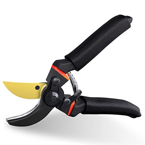 Top 10 Best Heavy Duty Hand Pruners Reviews & Buying Guide Katynel