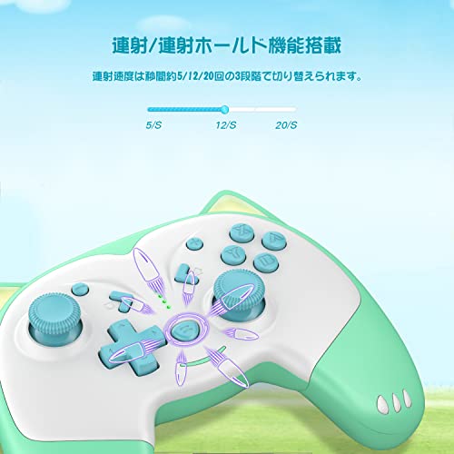 Image of ECHTPower Wireless PC Gaming Controller - Hall Effect Joystick, 2.4G & Wired 1000Hz Polling Rate, 800mAh Battery, Adjustable Turbo /Vibration - for PC /Switch /iOS /Android-Green