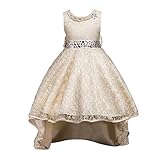 ❀❀❀ für Kinder Mädchen Prinzessin Kleid Prinzessin Kostüm Kostüm Tutu Kleid Karneval Party Kleid Mädchen Prinzessin Kleid Kostüm Hochzeit Ballkleid Festkleid Partykleider Maedchen Prinzessin Blumenmaedchenkleid Party Kleid