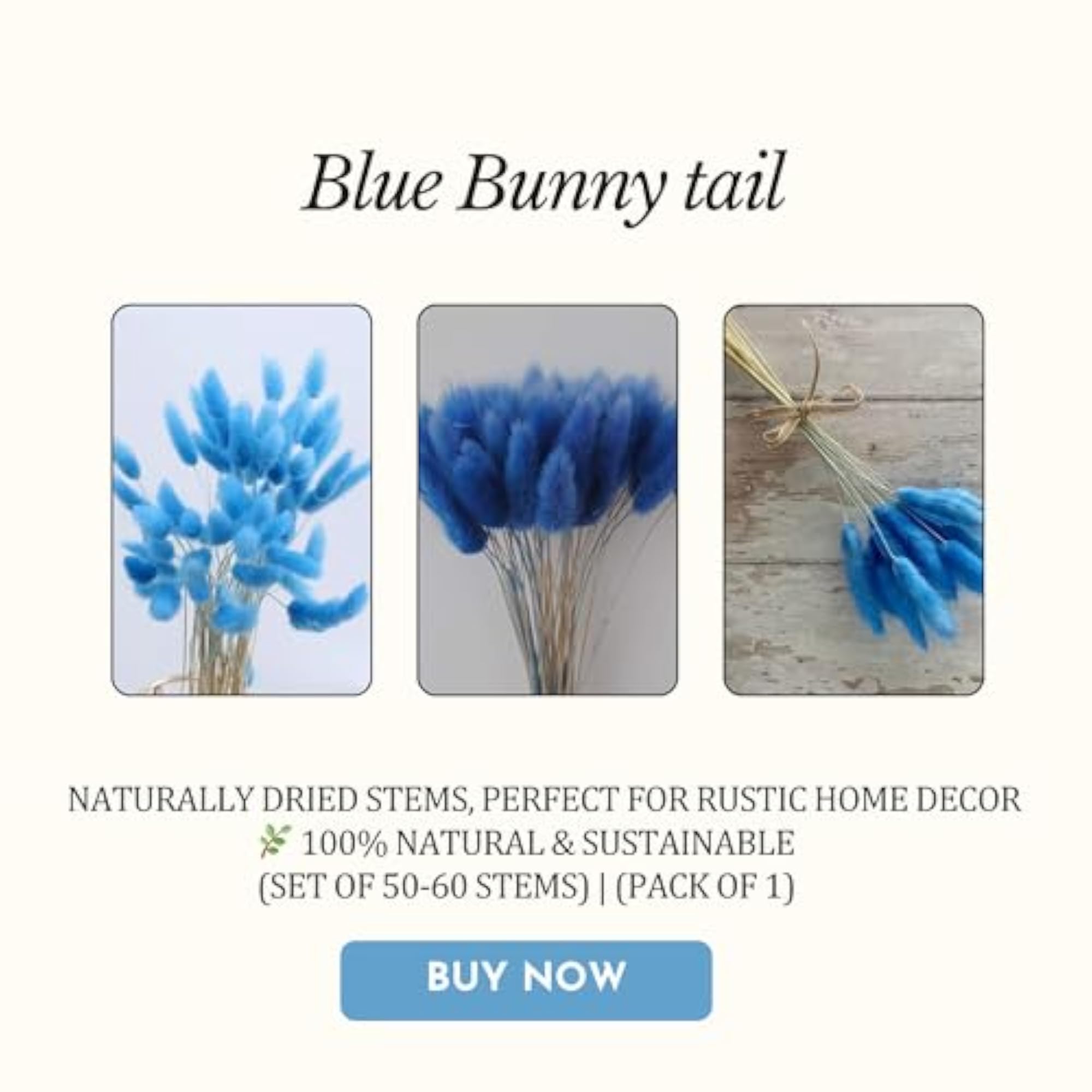 Tail Dried Pampas Grass for Home & Office Decor