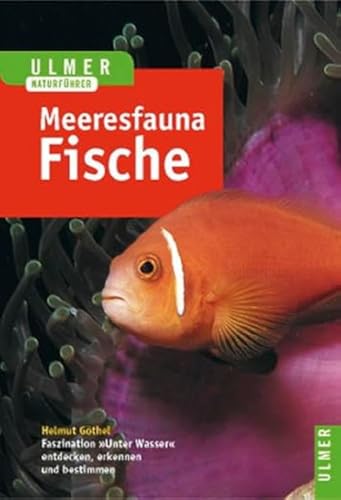 Ulmer Naturführer Meeresfauna: Rotes Meer, Indischer Ozean, Malediven: Rotes Meer. Indischer Ozean (Malediven). 396 Arten in Wort und Bild Ulmer Naturführer Meeresfauna: Rotes Meer, Indischer Ozean, Malediven: Rotes Meer. Indischer Ozean (Malediven). 396 Arten in Wort und Bild