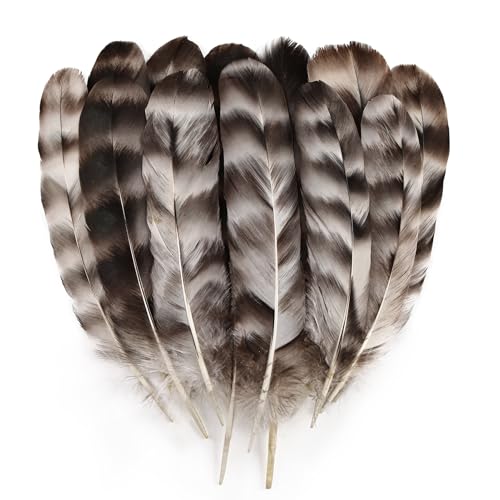 Daieeparty 12pcs Natural Grey Reed Chicken Feathers Bulk 6-8 inch Chinchilla Feathers for DIY Craft Wedding Home Decorations