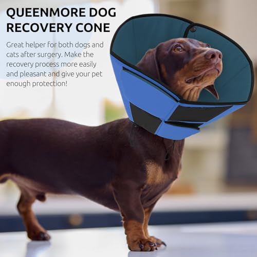 Queenmore Halskrause Hund, Weicher atmungsaktiver, Genesungshalsband nach Operationen,Verstellbarer elisabethanischer Schutzkragen, Leckschutz gegen Belecken und Beißen, für Hunde & Katzen (M, Blau)