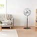 RAYDAN 0 Ventilador de Pie, 45cm 75W, 75 W Imagen de RAYDAN 0 Ventilador de Pie, 45cm 75W, 75 W