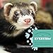 Oxbow Essentials Ferret Food, Vitamin & Mineral Rich Formula for Ferret, High Protein Food & High Fat, Small Animal Pet Products, Oxbow, Made in USA, 4 lb Bag