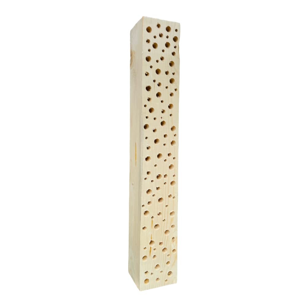 Wildbienen - Insektenhotel Nisthilfe Holz Stamm Naturbelassen 30-90 cm Bienenhotel Stamm Insektenhotel Wildbienen Massivholz Wildbienenhotel (60 cm)