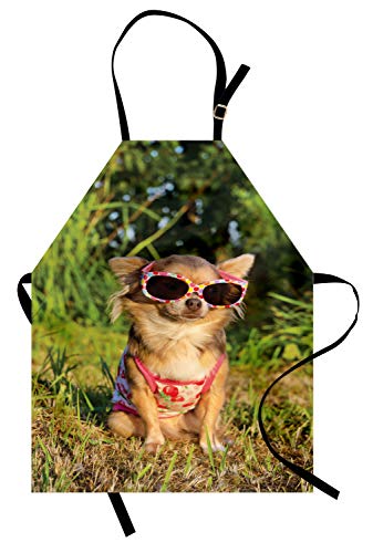 ABAKUHAUS Chihuahua Kochschürze, Hund mit Riemchen Top, Fett Schmutz abweichent Waschbar Farbe verblassen Nicht, Mehrfarbig