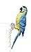 Garden at Home Tropical Decor Macaw Parrot Figurine Pot Hanger, 9" (Blue)