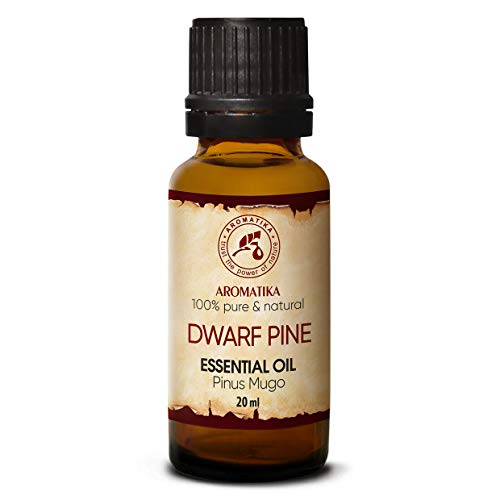 Aceite Esencial de Pino Enano 20ml - Pinus Mugo - Austria - 100% Puro & Natural para Baño - Sauna - Aromaterapia - Dwarf Pine Essential Oil