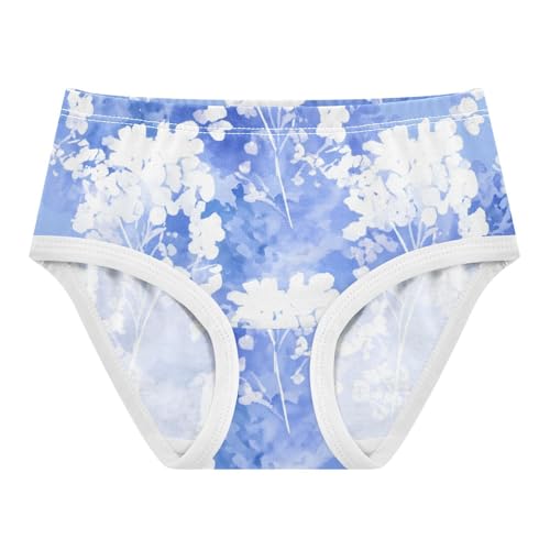 Girls Underwear Toddlers 2t Cotton Little Girl Panties Animal Kids Undies Briefs Pastel Blue Watercolor Floral