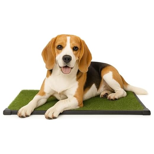 Artificial Grass Puppy Pee Pad for Dogs and Small Pets - 20x25 Reusable 3-Layer Training Potty Pad with Tray - Dog Housebreaking Supplies by PETMAKER