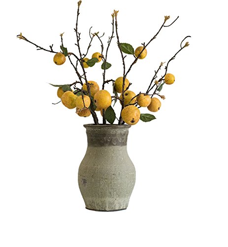 Zzooi 3Pcs Artificial Pear Tree Branches Fake Pear Fruit Spur #TOP1