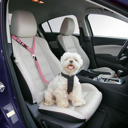 Best Dog Supplies Dog Car Seat Belt – Adjustable Buckle Design Elastic Nylon Vehicle Seatbelt Plus Durable Tangle-free Headrest Harness – Perfect for Pets – Pink Best Dog Supplies Dog Car Seat Belt – Adjustable Buckle Design Elastic Nylon Vehicle Seatbelt Plus Durable Tangle-free Headrest Harness – Perfect for Pets – Pink