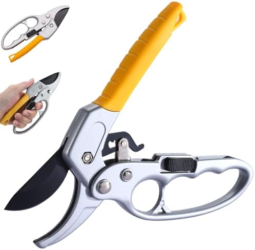 Tesouras de poda de catraca Tesouras de jardim profissionais Teso...