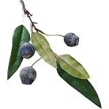 Ramo de flores de espuma artificial para decoración de bodas y hogar, con detalles pintados a mano y adornos de frutas, adecuado para fotografía (azul)