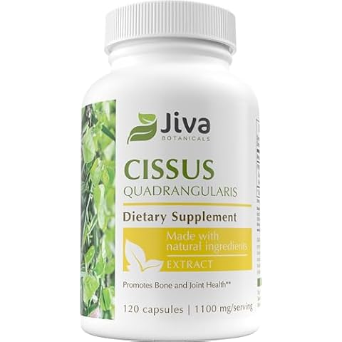 Jiva Botanicals Cissus Quadrangularis Capsules 550 mg per Capsule - Cissus Extract Capsules from Cissus Quadrangularis Plant - High Potency Cissus Powder Extract - 120 Capsules Cover