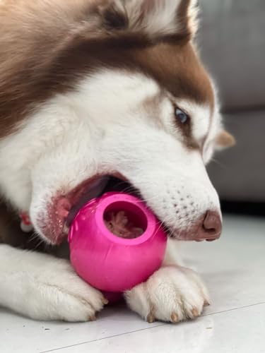 Pet Games Mordedor Recheável Super Resistente Bonequinha Rosa Tamanho Médio Para Cães