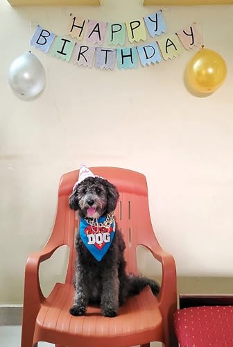 Image of TDIT Superdog Embroidered Bandana with Adjustable Dog Collar (Size Medium /Large)