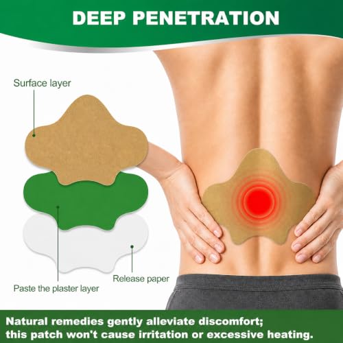 Image of Pain Relief Patches, 48 Pcs Back Pain Relief, Wormwood, 12-Hour Use