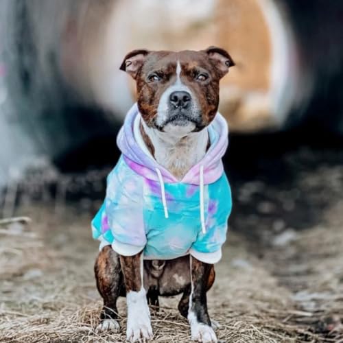 Spark Paws Hunde-Kapuzenpullover, Premium-Qualität, samtweich, überlegener Komfort und Passform, beruhigendes Fleece-Innenfutter, geeignet für alle Rassen, 90s Retro Sky Dye, Größe XL