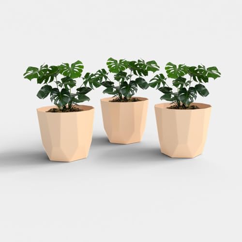 Image of YUCCABE ITALIA SHERA Hexa Plastic Planter Pot for Plants | Decorative Flower Pot | UV Protected Lightweight Indoor Outdoor Gamla for Home Decor, Balcony, Garden & Living Room