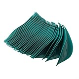 [Einfache Bedienung] Stecken Sie einfach den Trichter in die Erde; sein benutzerfreundliches Design macht ihn perfekt für erfahrene Gärtner und diejenigen, die neu in der Pflanzenpflege sind.