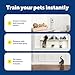 PetSafe SSSCAT Automatic Spray Pet Deterrent - Contactless Behavior Correction - Motion Sensor Air Burst - Odorless - Non-Staining - Versatile Placement Spray