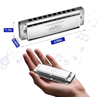 Professional Harmonica Set 4 Pack, 10 Hole 20 Tone Blues Harp in Keys C G D A, Silver Diatonic Mouth Organ Bundle with Stainless Steel Cover for Practice, Studio, Band Jam & Stage Performance – Image 3
