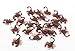 EBTOYS 100pcs Fake Plastic Scorpions Realistic Imitation Bug Halloween Prank Props Party Supply