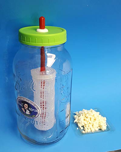 Kefir Fermenter 1.5L/50oz for RAPID Homemade Kefir with DOUBLE AMOUNT of KEFIR GRAINS for Rapid Fermentation