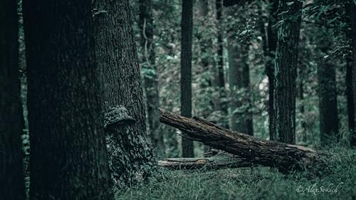 Mossy Oak NWTF Obsession Camo Face Mask Leafy Bucket Hat for Turkey Hunting Leafy Suits Camo Gear (Adjustable OSFM)