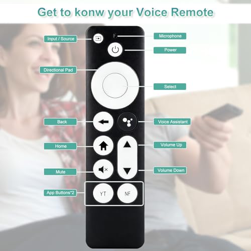Télécommande vocale Chromecast avec commande Google Assistant