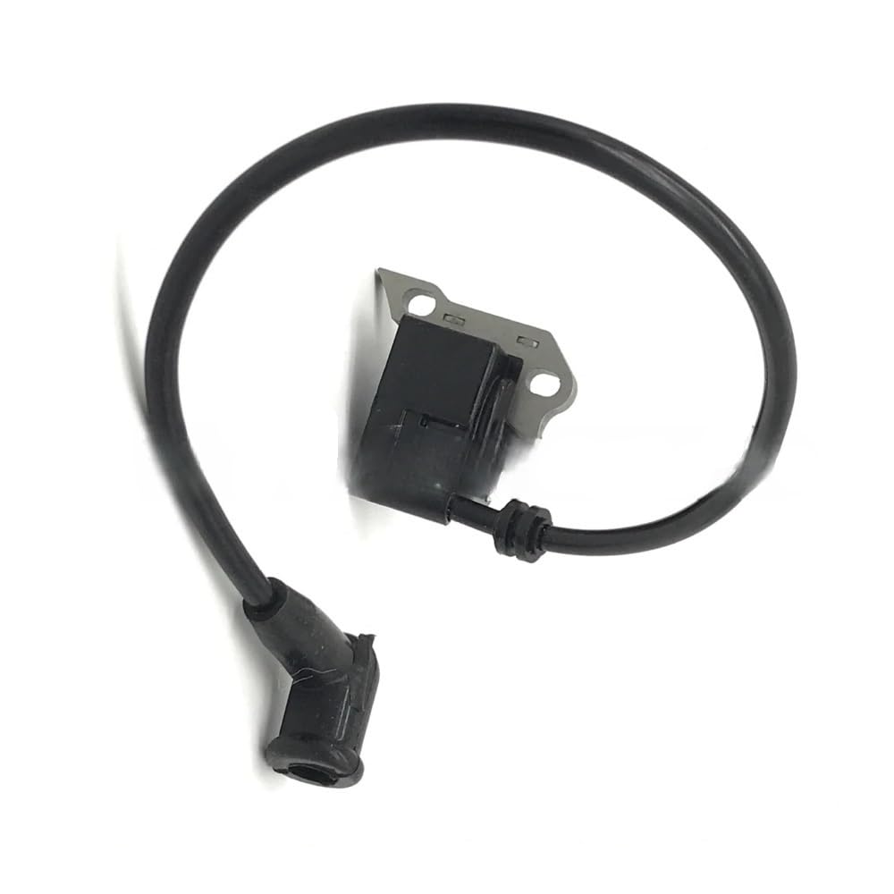 Module d'allumage électronique pour moteur thermique 42034001301