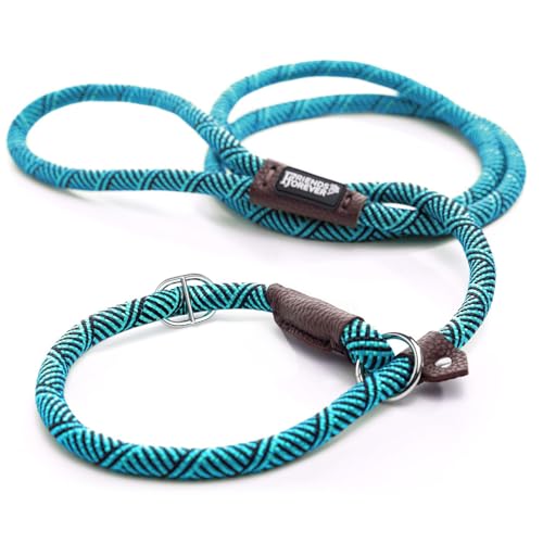 Friends Forever Extremely Durable Dog Rope Leash, Premium Quality Training Slip Lead, Reflective...