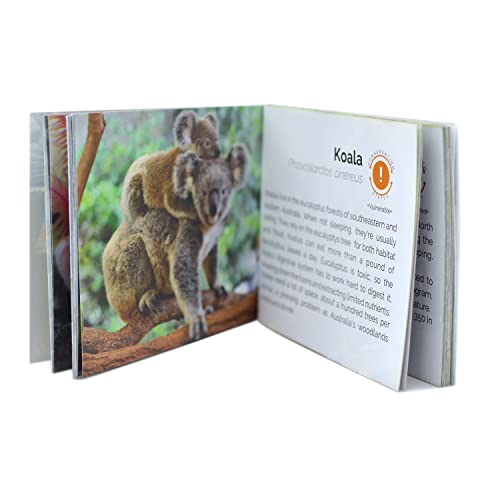 Menique, Wild Animals, Memory Matching Game #TOP6