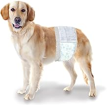 Four Paws Wee-Wee Super Absorbent Disposable Adjustable Dog Potty Training Male Wraps Diapers, Leak-Proof Protection for Puppies and Small Dogs, Medium, 12 Count