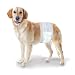 Wee-Wee Products Disposable Male Dog Wraps (12 Pack), Medium/Large